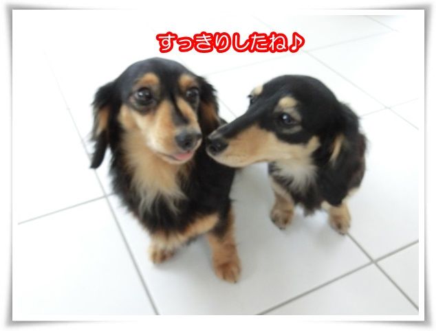 14_20150218201539aff.jpg