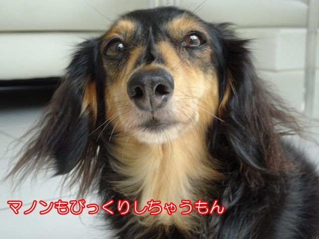 DSC07049