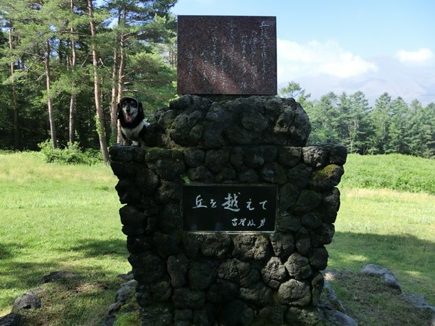 CIMG2349