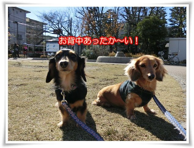 10_20141219090555af7.jpg