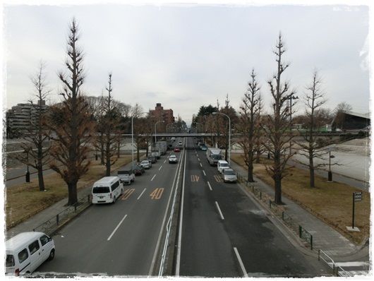 CIMG9738-20130123.jpg
