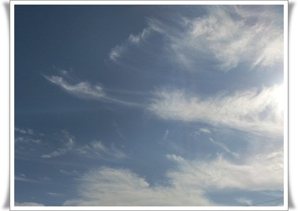 CIMG4189-20121010.jpg