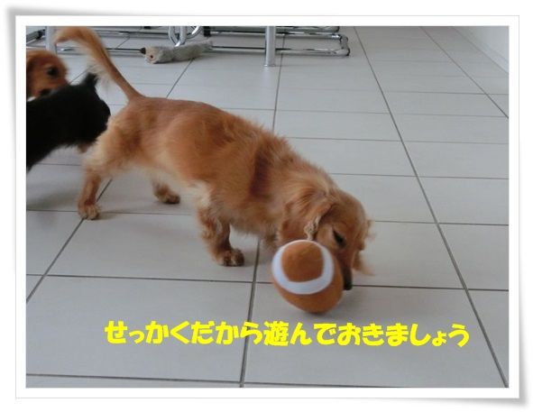 2_20130618115012.jpg