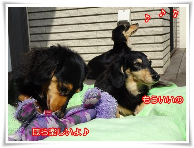 11-20170329