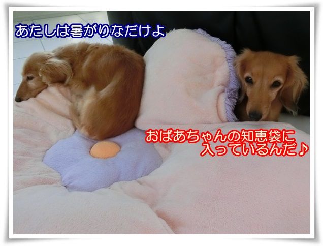 8_20141023091133dcb.jpg