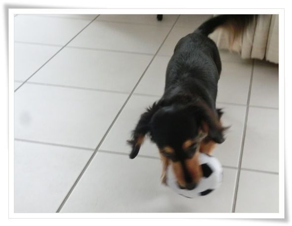 3_20130618115015.jpg