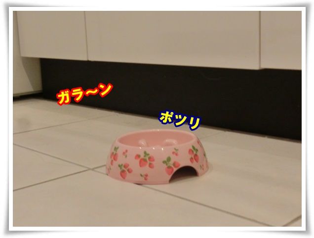 3_20131225110453d2f.jpg