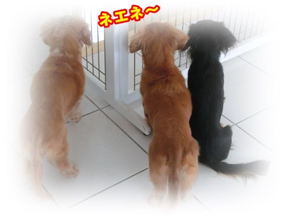 1_20131005105604cdb.jpg