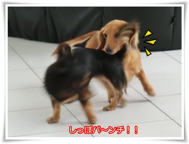 10_201410220943208cf.jpg