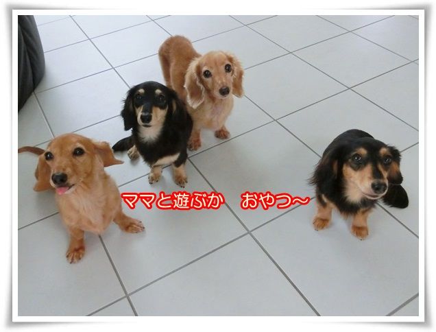 11-20140829.jpg