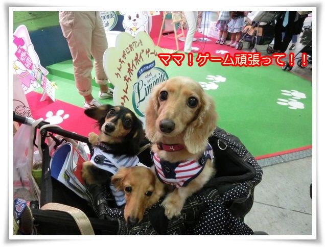 10_20140619085638bda.jpg