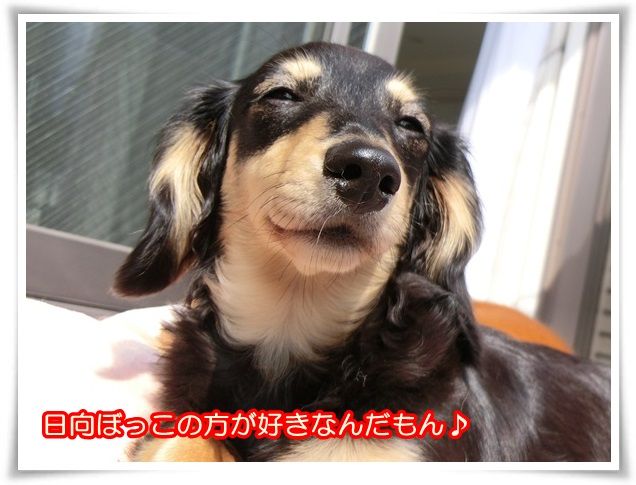 4_2014062809261689d.jpg