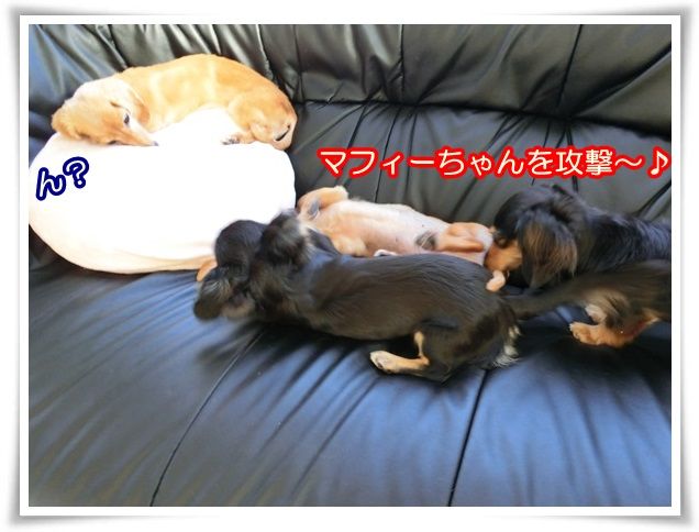 9_20140729095656317.jpg