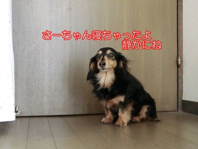 CIMG0948