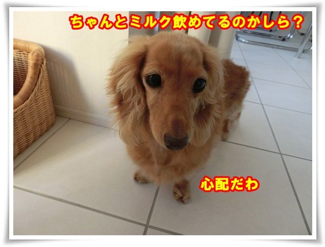 3_201312261015303fb.jpg