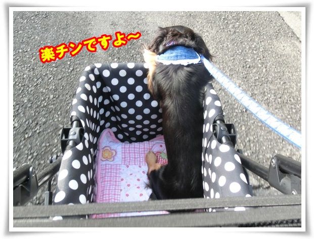 2-20131101.jpg
