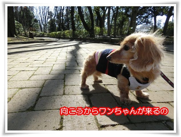7_20150129200843edb.jpg