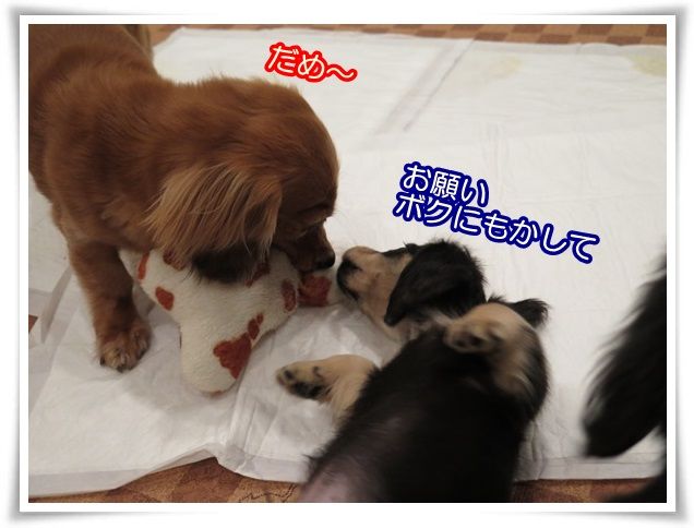 8_201402241113364bc.jpg
