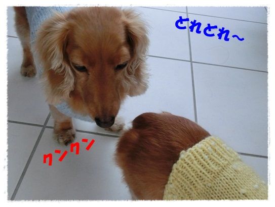 CIMG6348-20121122.jpg