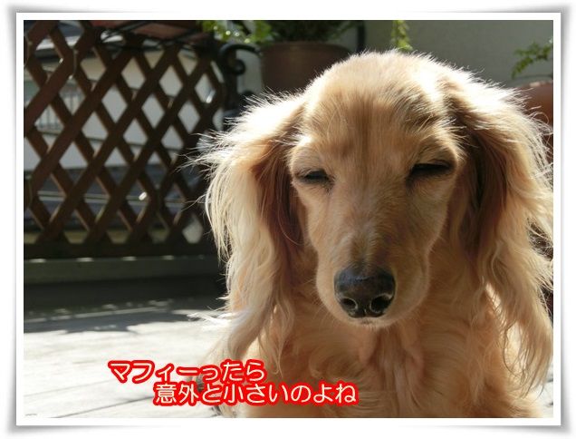 11_20140423083637afe.jpg