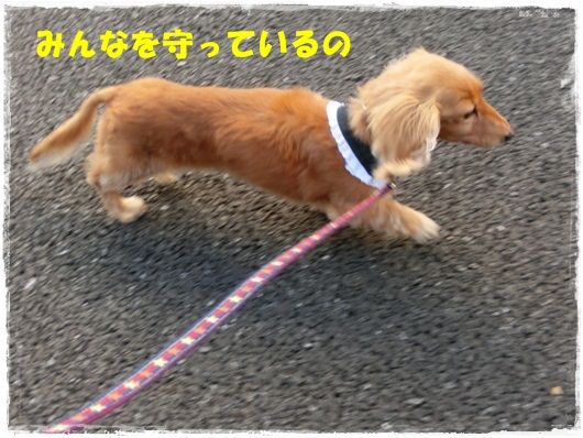 CIMG6289-20121121.jpg