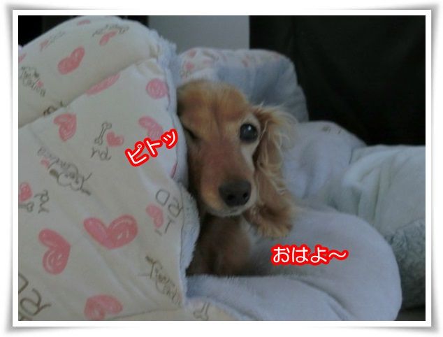 1-20150124.jpg