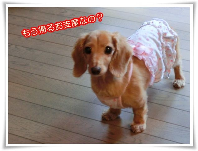 1_20140812083404eda.jpg