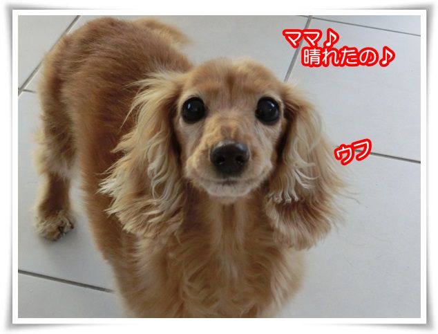 1-20150128.jpg
