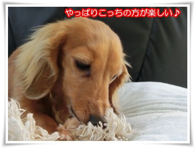 15-20150128.jpg