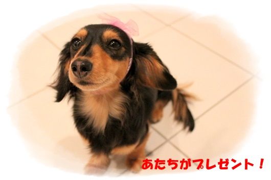 IMG_5531-20130313.jpg