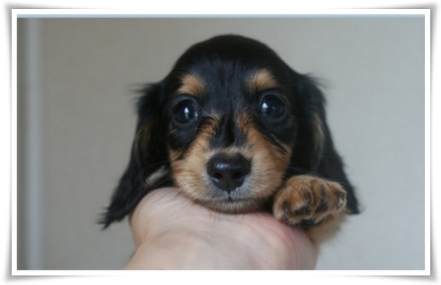 マノンちゃん14[1]_Fotor