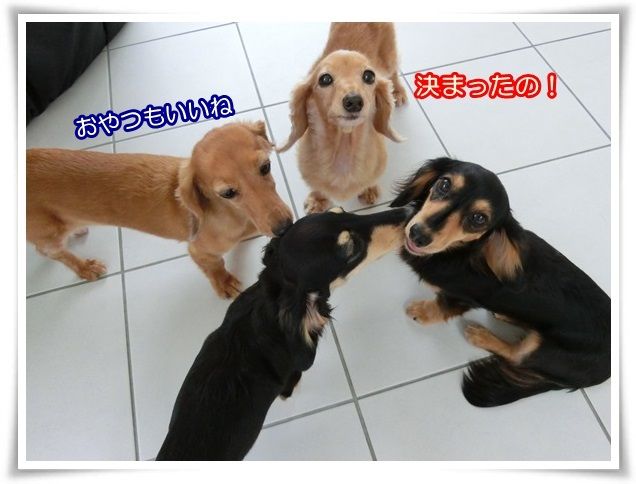 10-20140829.jpg