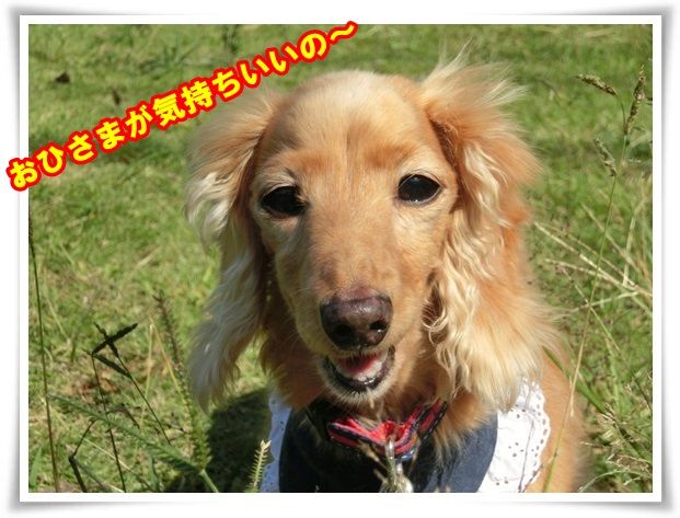 5-20131101.jpg