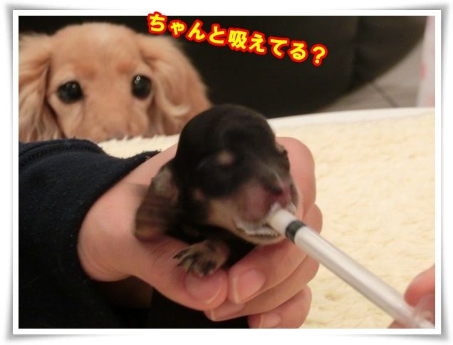 5_2013122710432804d.jpg