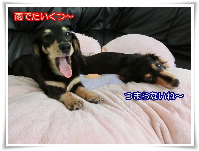 1_20140828094930ee5.jpg