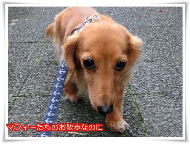 6_20140424085926cdd.jpg