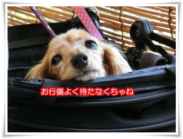 14-20150518.jpg