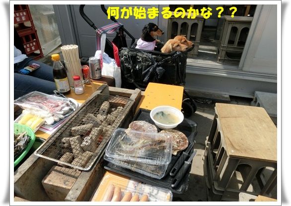 CIMG2902-20130320.jpg