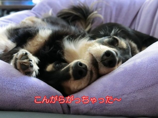 CIMG0946