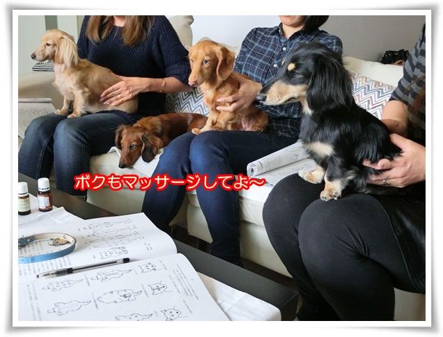 2_201410280948033fa.jpg
