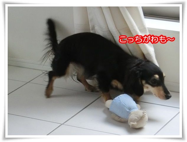 20-20150816.jpg