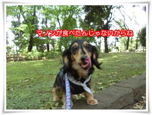 17-20150526.jpg