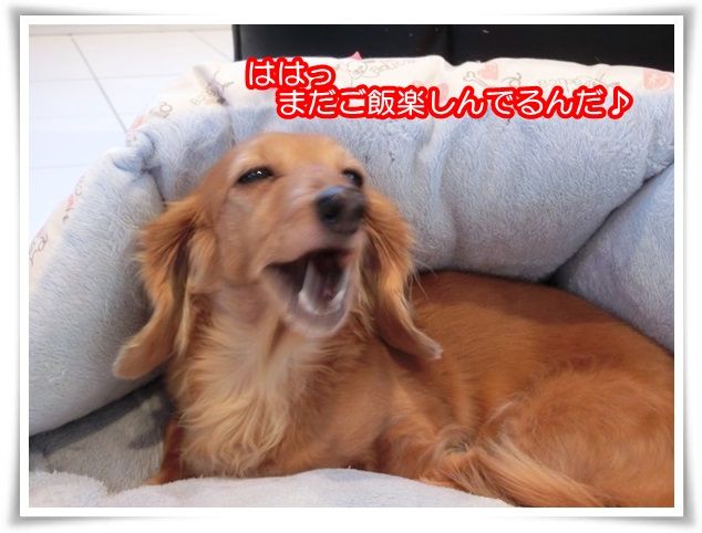 7-20150124.jpg