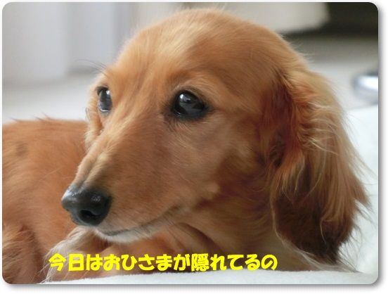 1_20130529131101.jpg