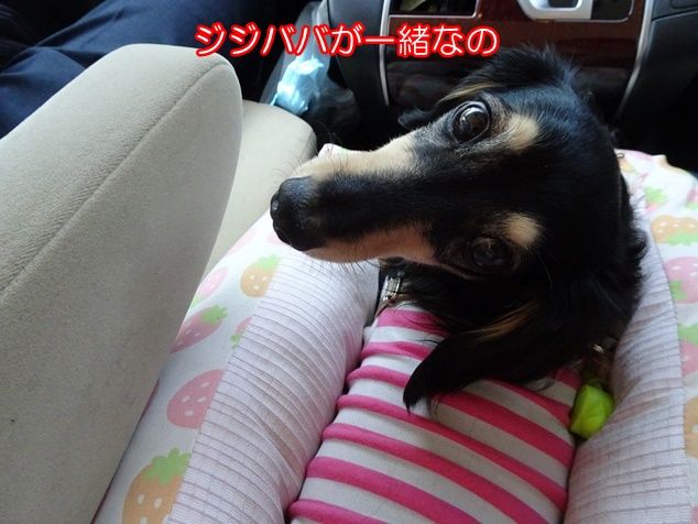 DSC07111