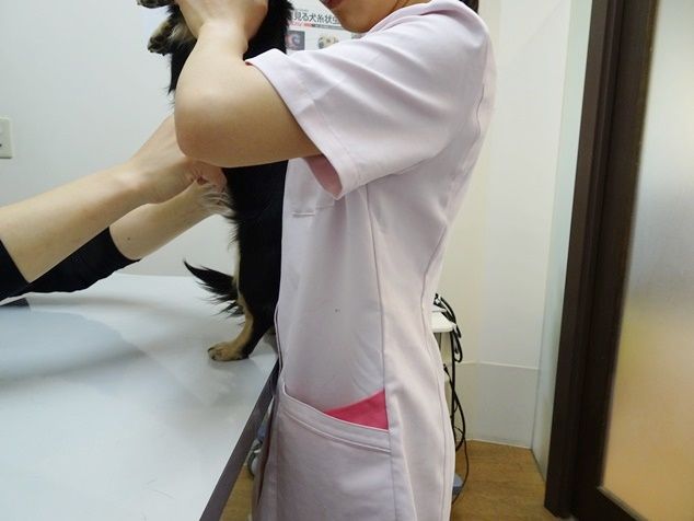DSC00613