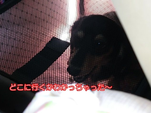 CIMG9283