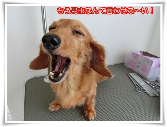 10_2014102409110724d.jpg