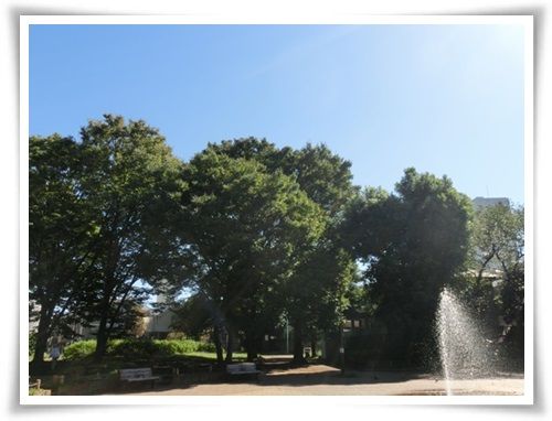 9_201309271023184af.jpg