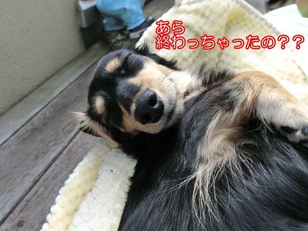 CIMG9781